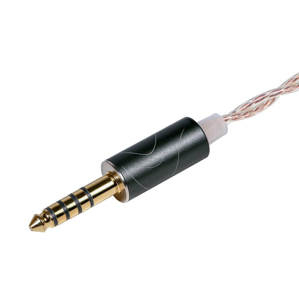 Multi-Plug Exchangeable Plug for Audio